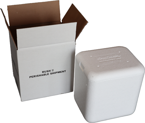 TL-869 Insulated Cooler (8 x x 9) in Shipping Add Dry Ice